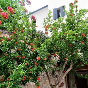Bed & Breakfast Alla Posta, Borso del Grappa